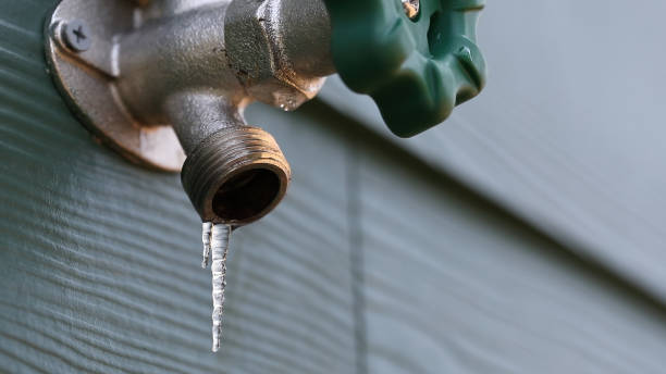 Best Leak Detection Services  in Auburn, NE